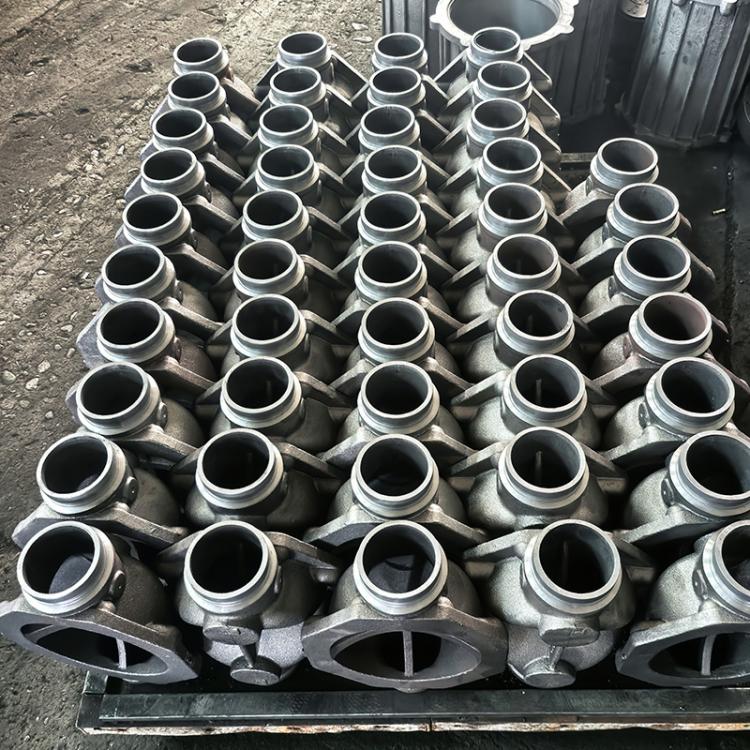 Ductile Iron Sand Casting Pump Body